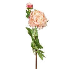 Dekorativní květina Pivoňka růžová, 100 cm, Colmore